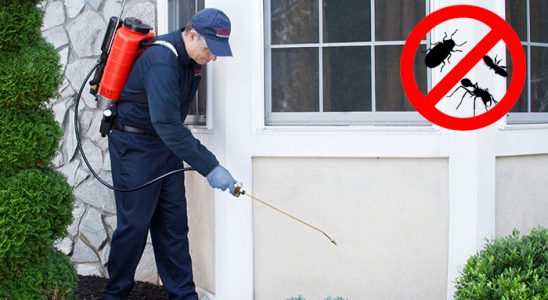 Sivrihisar Hamam Böceği İlaçlama böcek ilaçlama ve haşere kontrolü — ilaclama-tr.com
